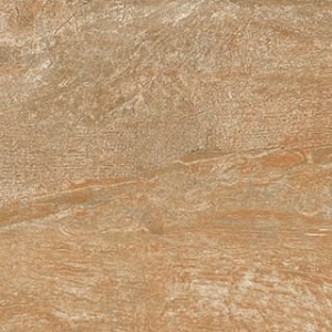 Forest Maple