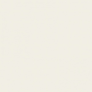 Super White New Super White New